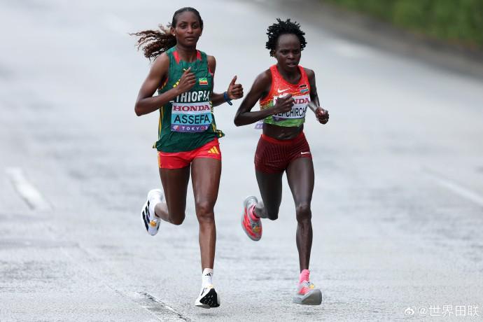 独家揭秘,赛事战况全,解析,ZO,中欧,中欧体育入口,中欧官网,中欧体育APP下载