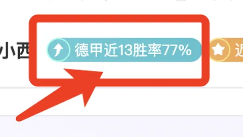 哲凯赖什本赛季英超闪耀，5球狂飙升班马，进球盛宴独占鳌头！